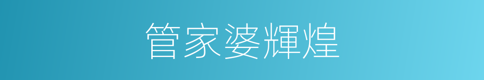 管家婆輝煌的同義詞