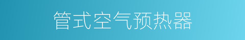 管式空气预热器的同义词