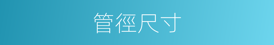 管徑尺寸的同義詞