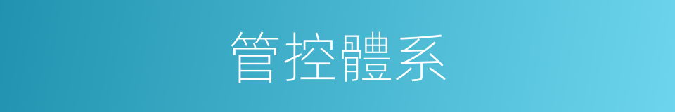 管控體系的同義詞