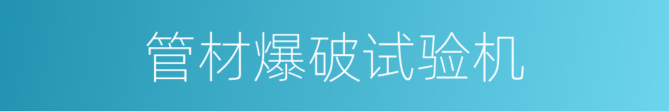 管材爆破试验机的同义词