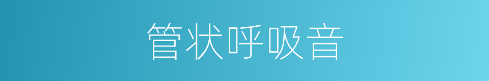 管状呼吸音的同义词