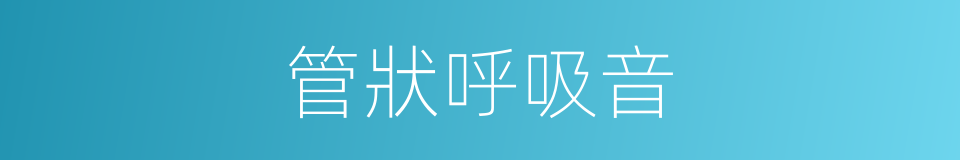 管狀呼吸音的同義詞