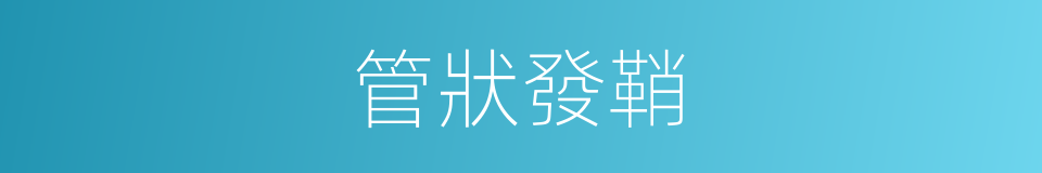 管狀發鞘的同義詞