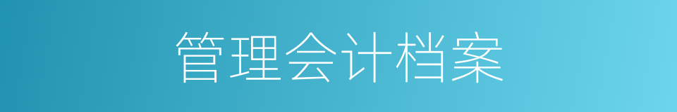 管理会计档案的同义词