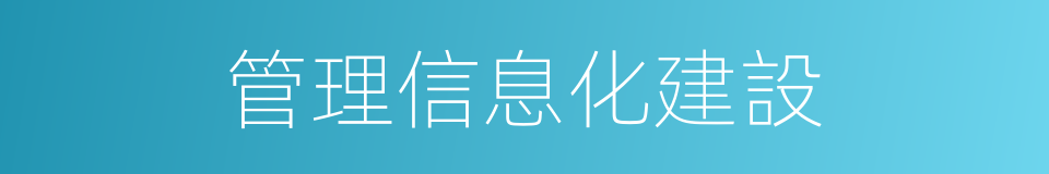 管理信息化建設的同義詞