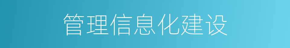 管理信息化建设的同义词