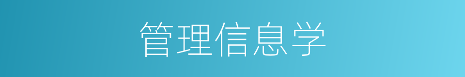 管理信息学的同义词