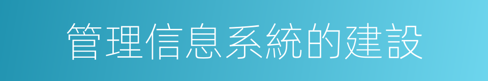 管理信息系統的建設的同義詞