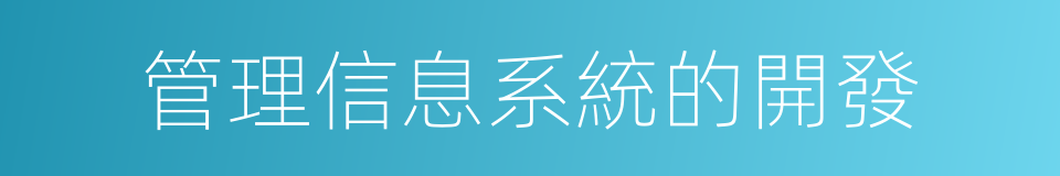 管理信息系統的開發的同義詞