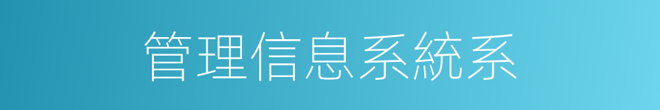 管理信息系統系的同義詞