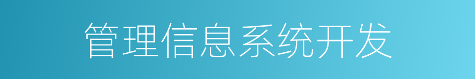 管理信息系统开发的同义词