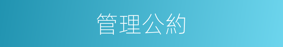 管理公約的同義詞