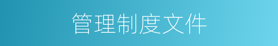 管理制度文件的同义词