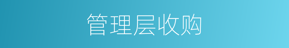 管理层收购的同义词