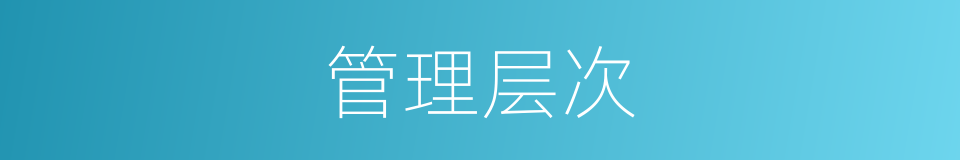 管理层次的意思