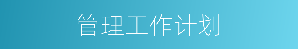 管理工作计划的同义词