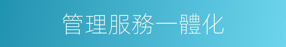 管理服務一體化的同義詞