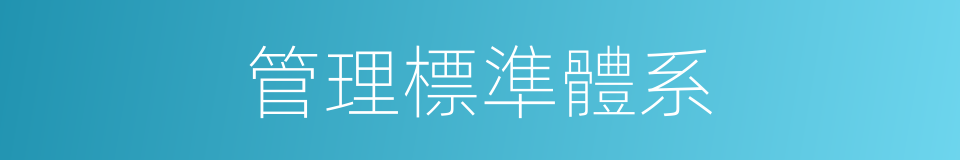 管理標準體系的同義詞