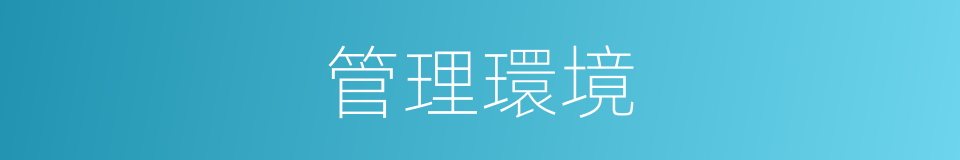 管理環境的同義詞