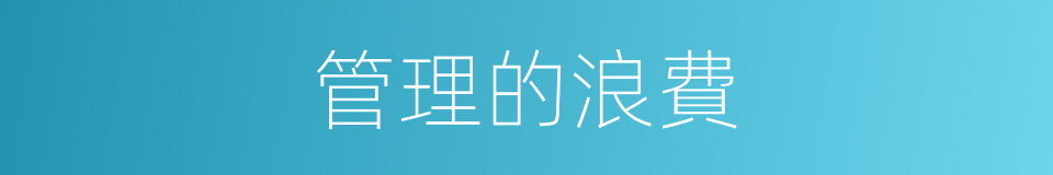 管理的浪費的同義詞