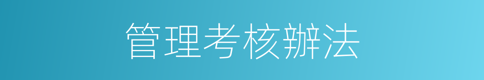 管理考核辦法的同義詞