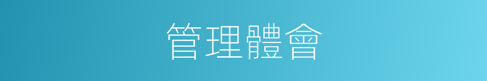 管理體會的同義詞