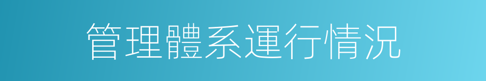 管理體系運行情況的同義詞