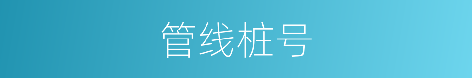 管线桩号的同义词