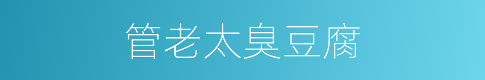 管老太臭豆腐的同义词