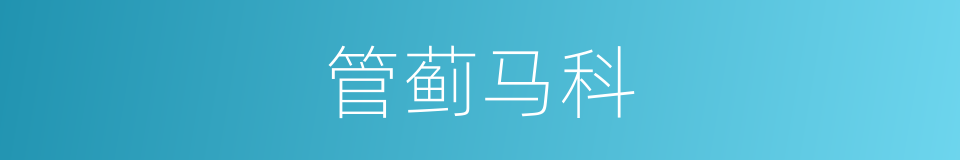 管蓟马科的同义词