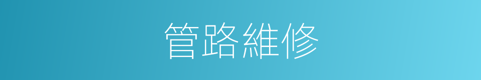 管路維修的同義詞