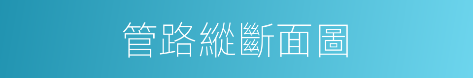 管路縱斷面圖的同義詞