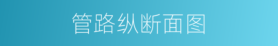 管路纵断面图的同义词