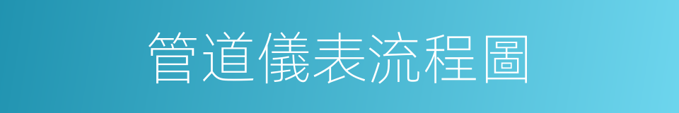 管道儀表流程圖的同義詞