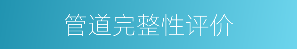 管道完整性评价的同义词