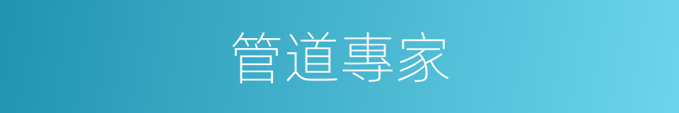 管道專家的同義詞