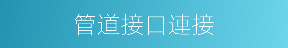 管道接口連接的同義詞