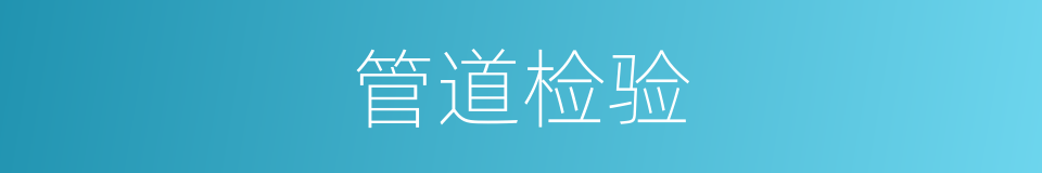 管道检验的同义词