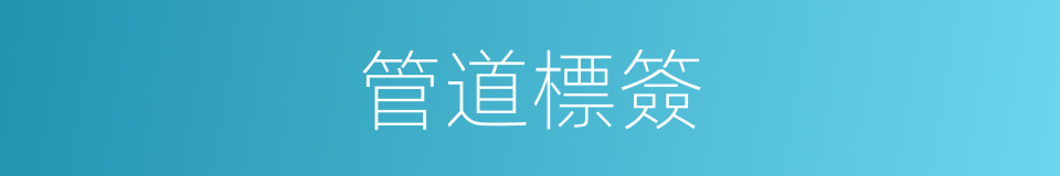 管道標簽的同義詞