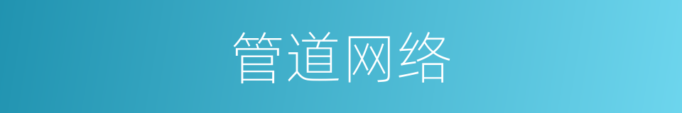 管道网络的同义词