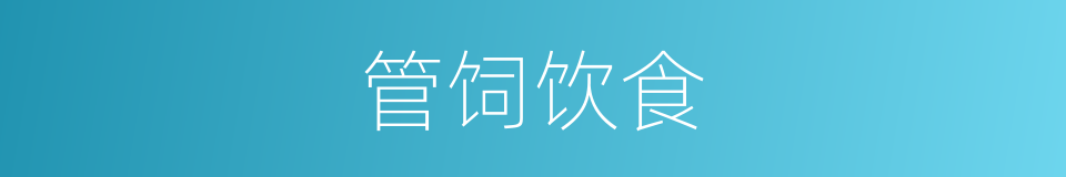 管饲饮食的同义词