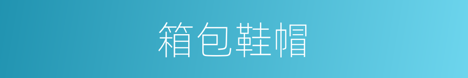 箱包鞋帽的同义词