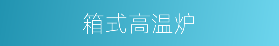 箱式高温炉的同义词