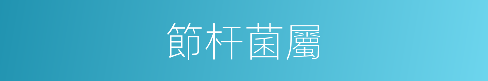節杆菌屬的同義詞