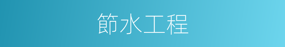 節水工程的同義詞