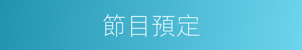 節目預定的同義詞