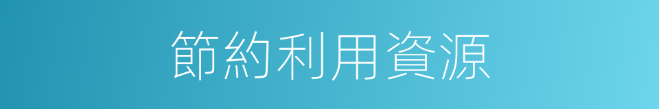 節約利用資源的同義詞