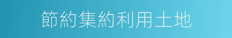 節約集約利用土地的同義詞