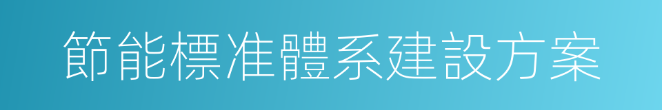 節能標准體系建設方案的同義詞